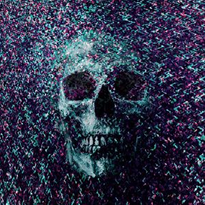 SKULL ART CAMOUFLAGE VII