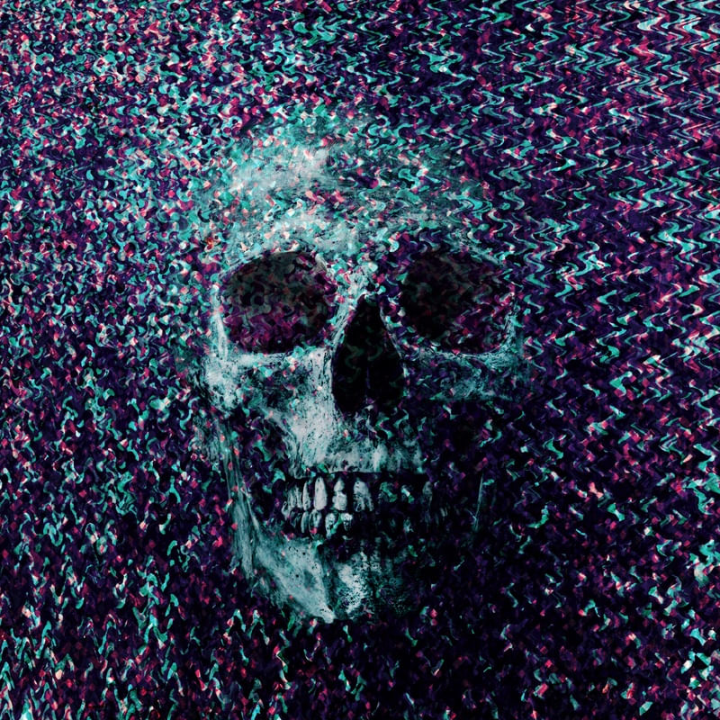 SKULL ART CAMOUFLAGE VII