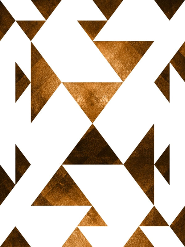 LIGHT AND TRIANGLES I