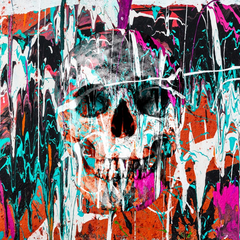 SKULL ART CAMOUFLAGE I