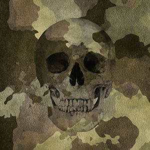 SKULL ART CAMOUFLAGE IV