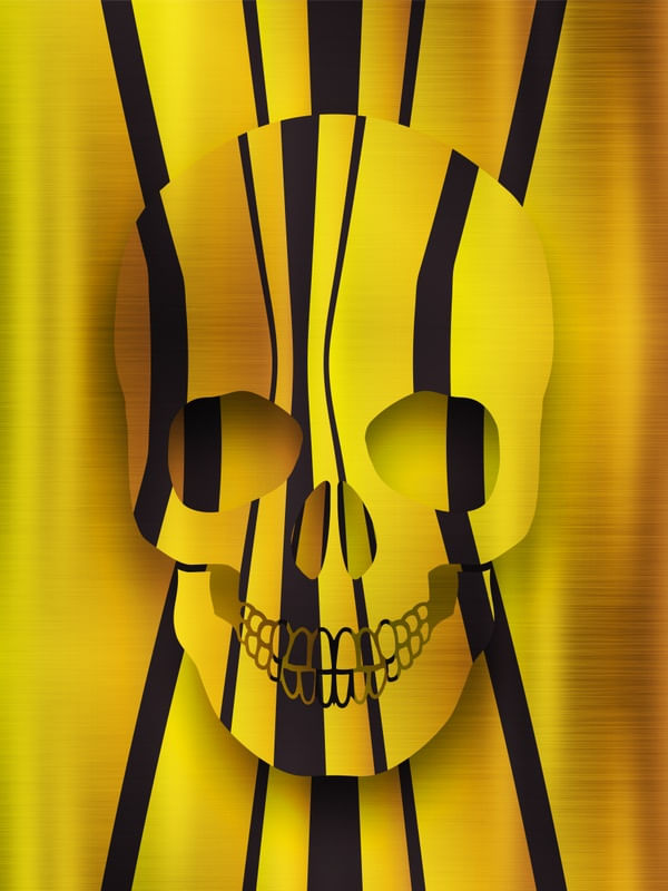 SKULL AND STRIPES I