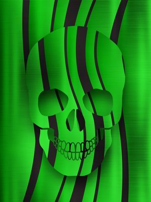 SKULL AND STRIPES II
