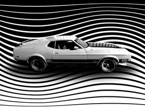 CAR AND STRIPES IV