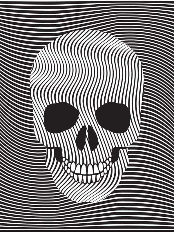 SKULL ART XXIX