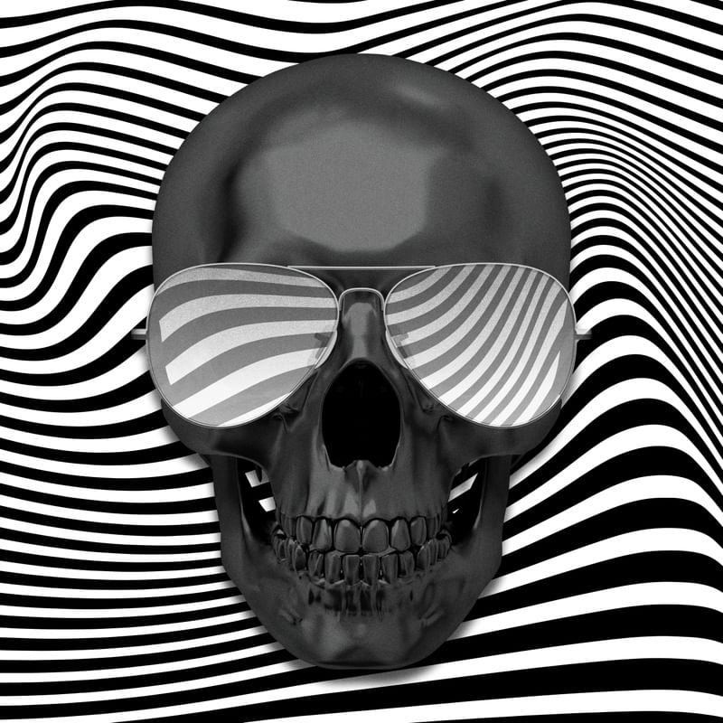 SKULL ART XXXIII