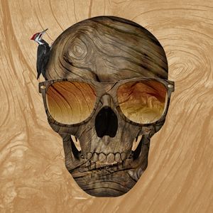 SKULL ART XXXIV