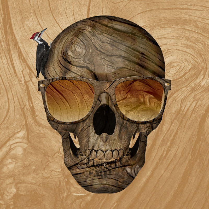 SKULL ART XXXIV