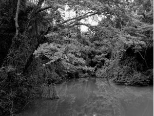PELO LAGO