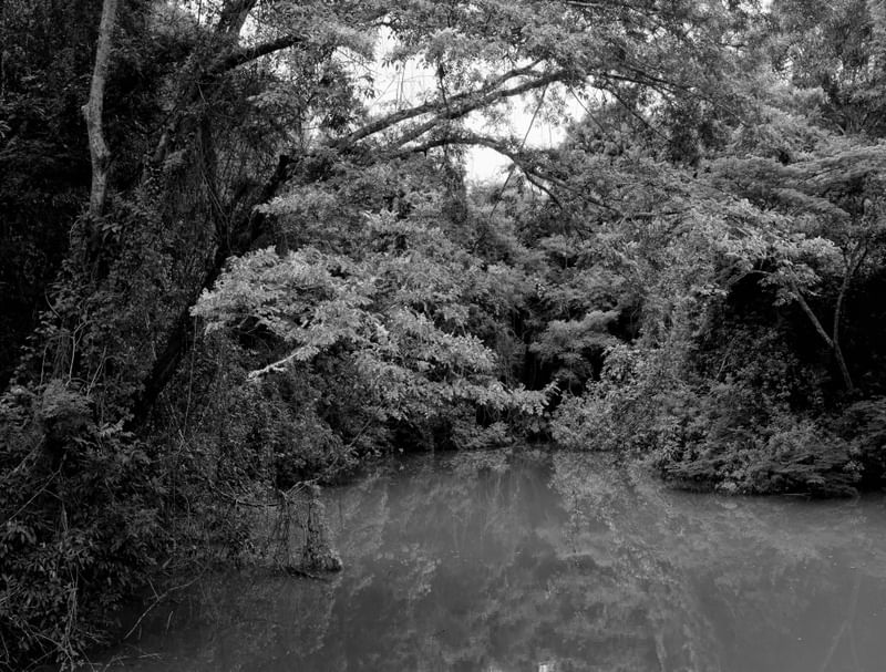 PELO LAGO