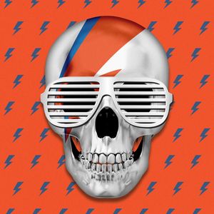 SKULL ART XXXVIII