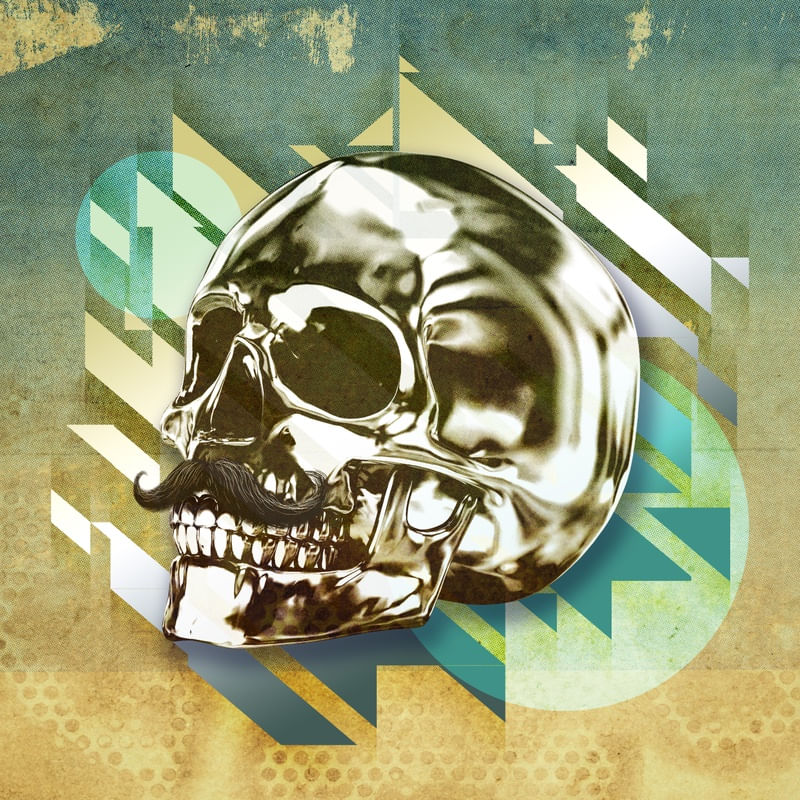 SKULL ART XLIV