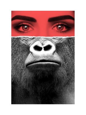 ANIMAL SOUL - GORILLA