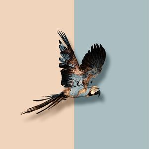 MARBLE BIRDS I