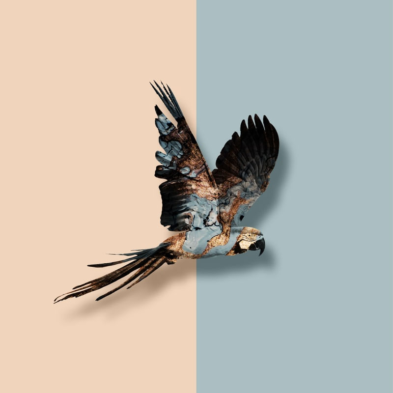 MARBLE BIRDS I