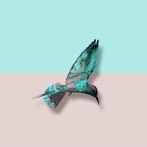 MARBLE BIRDS III