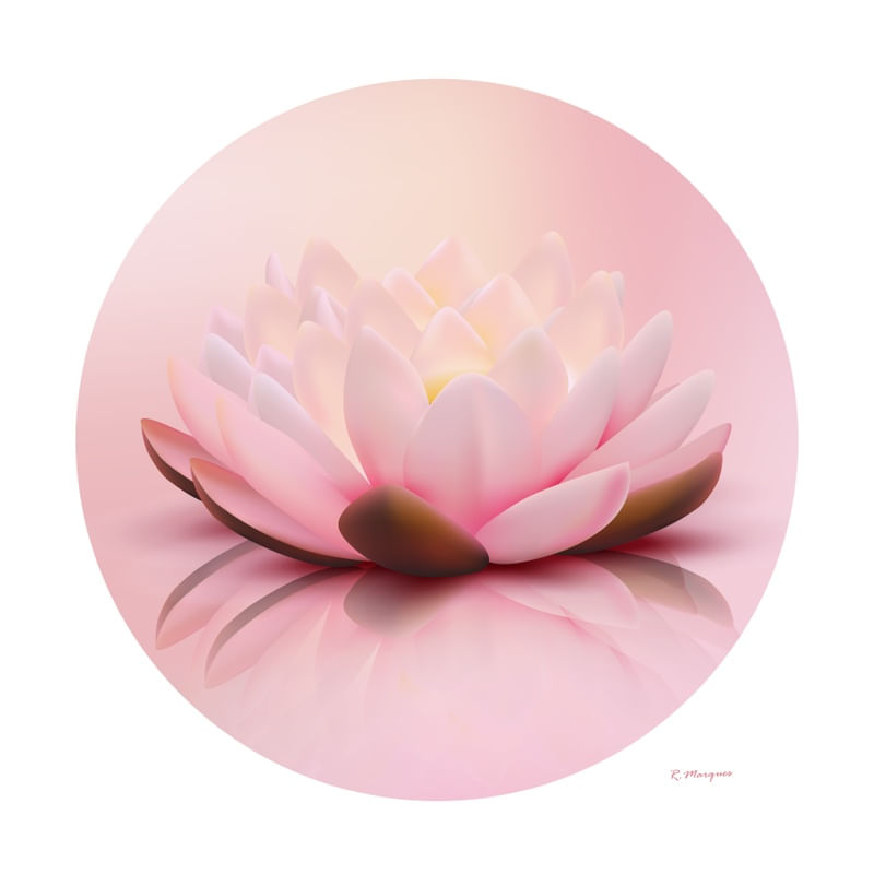 FLOR DE LOTUS ROSÉ WHITE