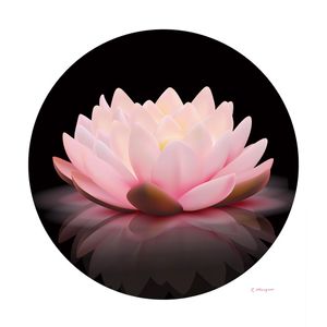 FLOR DE LOTUS ROSÉ BLACK
