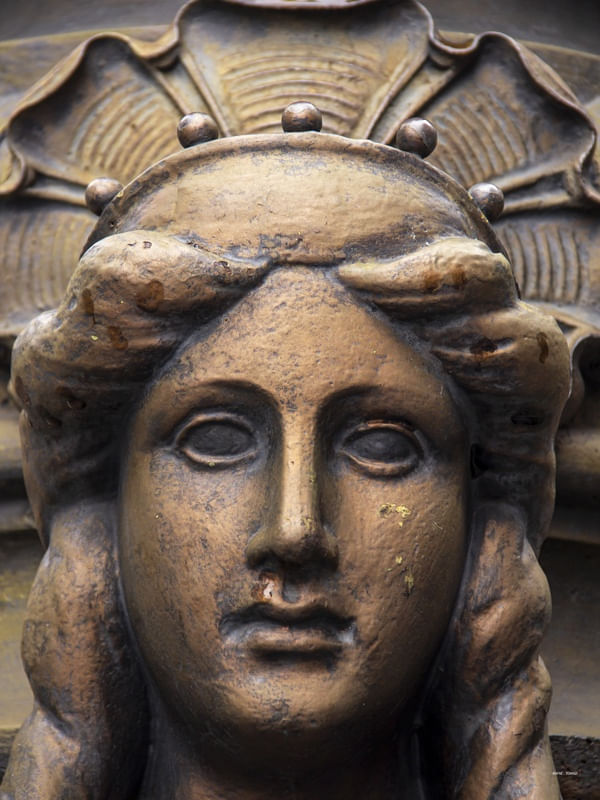 FACE DA ESTÁTUA