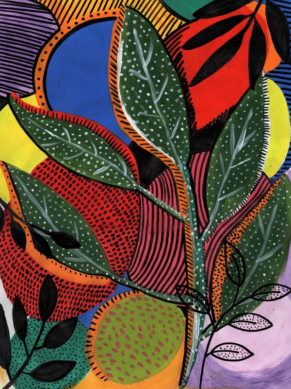 JARDIM Nº2