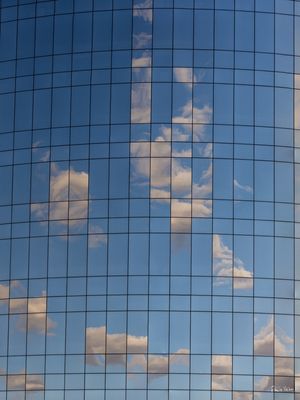 THE TRUMAN SHOW III, BRASÍLIA