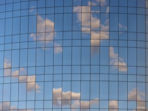 THE TRUMAN SHOW IV, BRASÍLIA