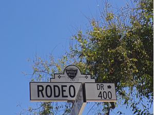 RODEO DR
