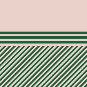 PADRÃO GEOMÉTRICO VERDE NEGRITO ROSA BRILHANTE