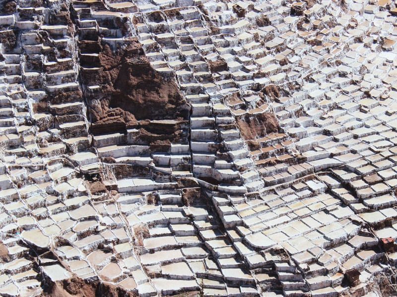 SALAR DE MARAS