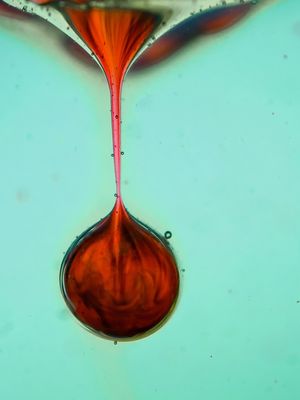 GOTA 001