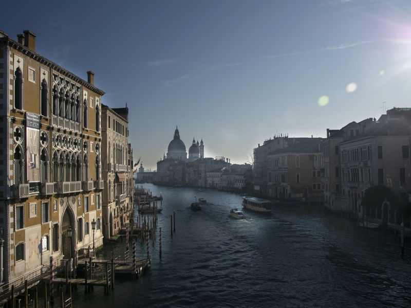 VENEZA 001