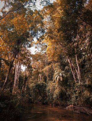 RIO BONITO