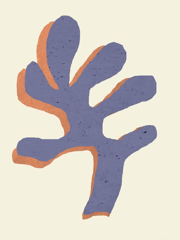 CORAL #1