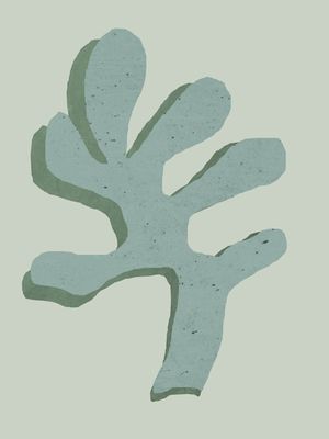 CORAL #2