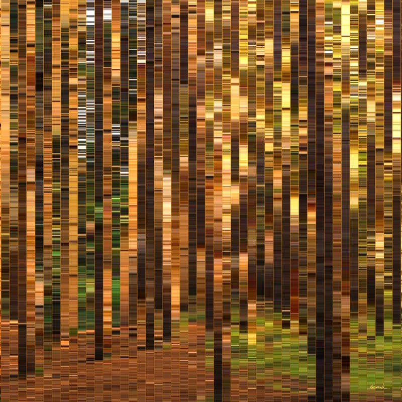 FLORESTA DE PINHOS - F01