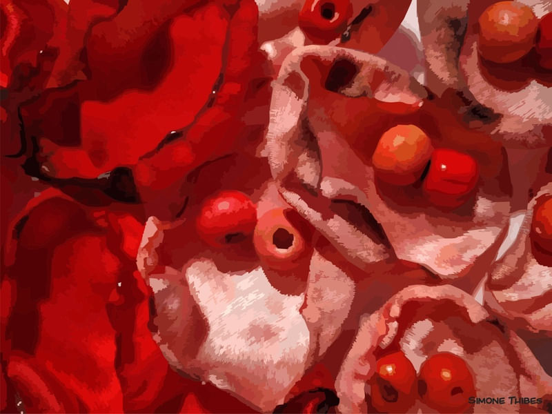FLORAL VERMELHO FOGO 12