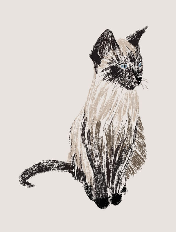 GATO I