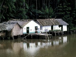 RIBEIRINHOS DO BRASIL