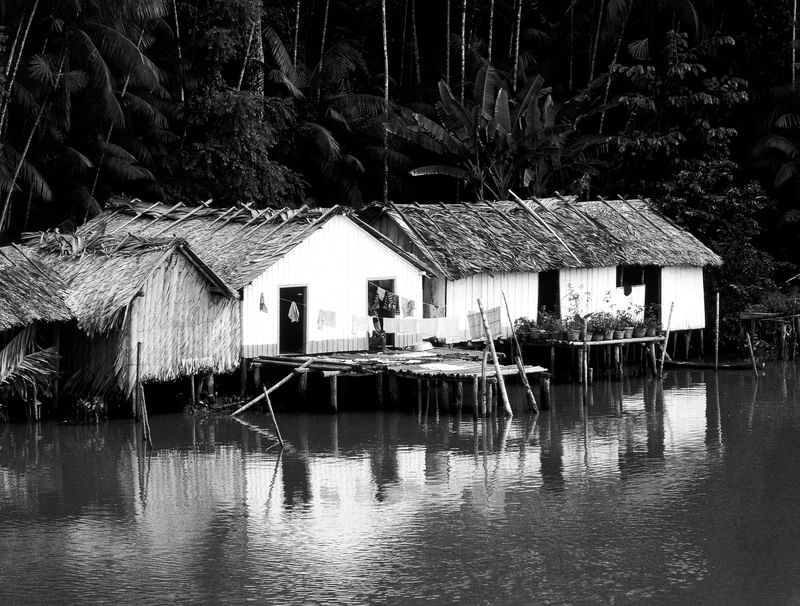 RIBEIRINHOS DO BRASIL PB