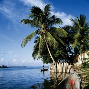 CANOA BRASIL