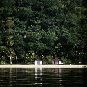 RIBEIRINHOS BRASIL