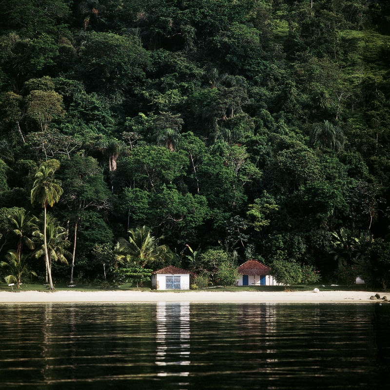 RIBEIRINHOS BRASIL