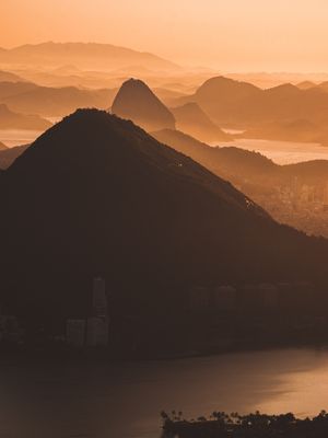 CONTRASTE DOURADO DA MANHÃ