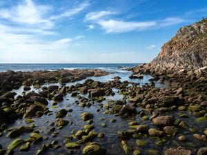 MAR E PEDRAS 1