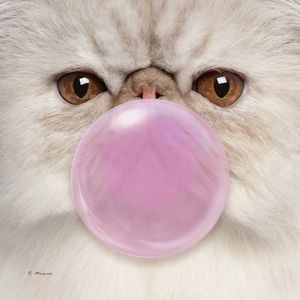 CAT BUBBLEGUM PINK
