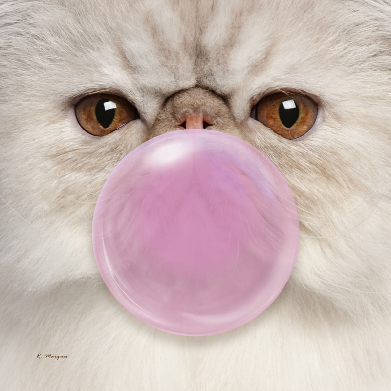 CAT BUBBLEGUM PINK