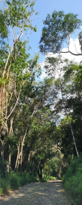 CAMINHO: ARTE VERDE
