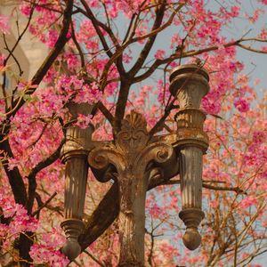 POSTE FLORIDO