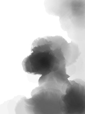LIQUID SMOKE