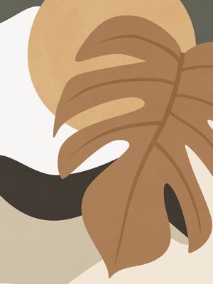 ORGANIC SHAPES II